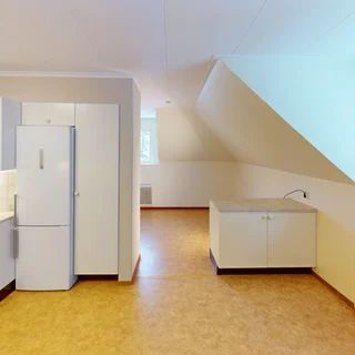 Foto 9 av 12